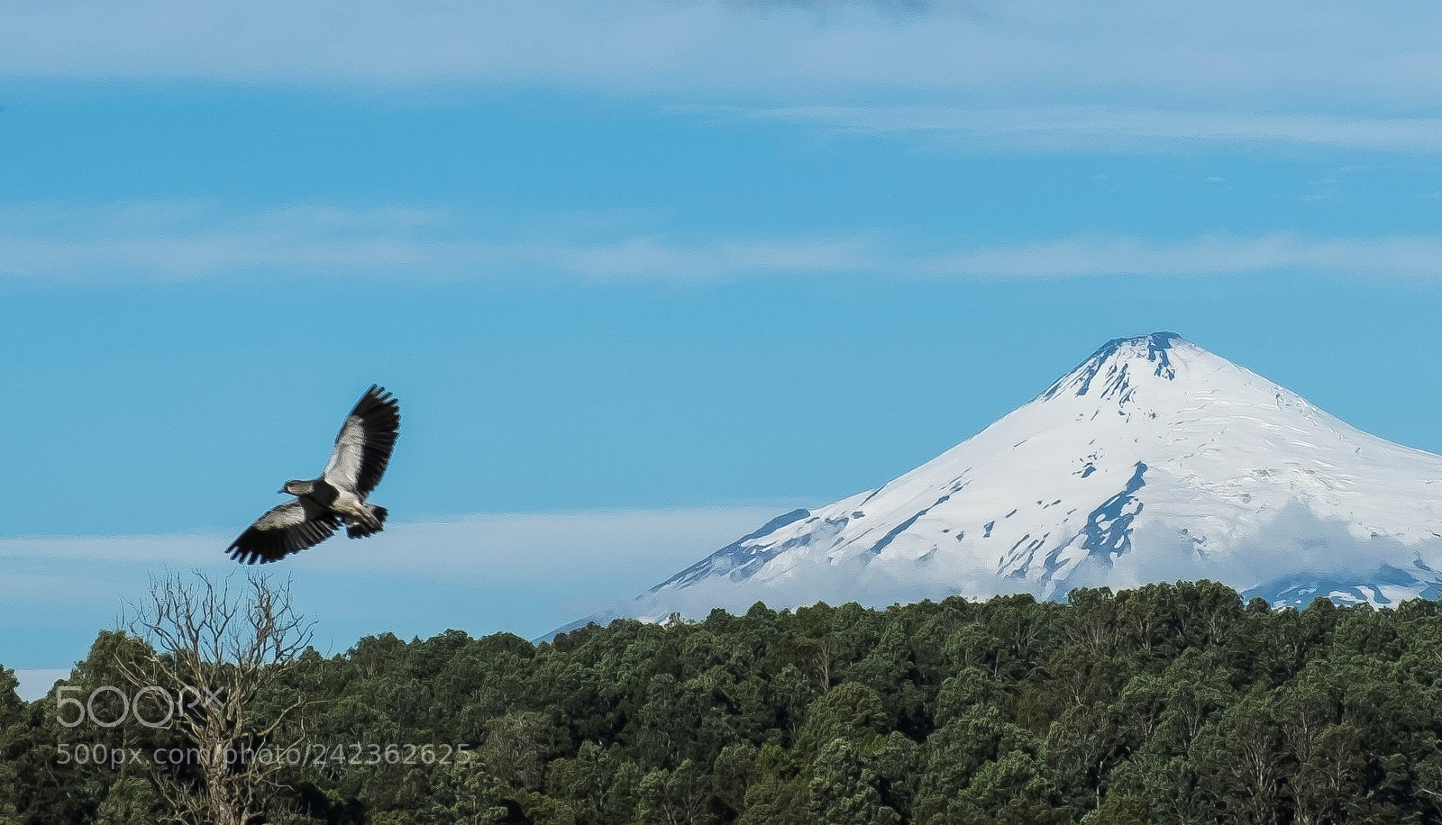 Fujifilm X-T20 sample photo. Villarrica volcano - chile photography