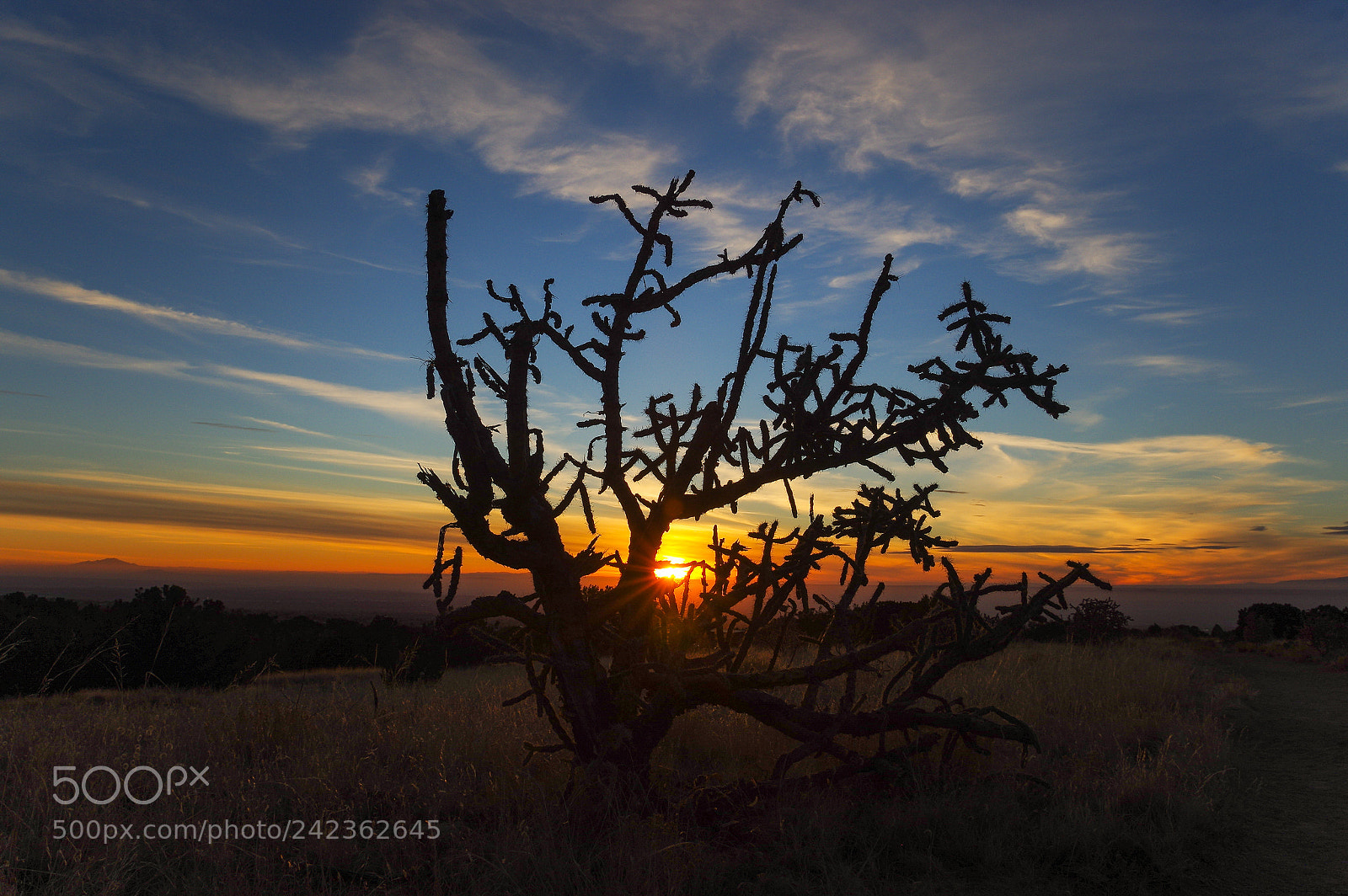 Pentax K-3 II sample photo. Albuquerque sunset photography