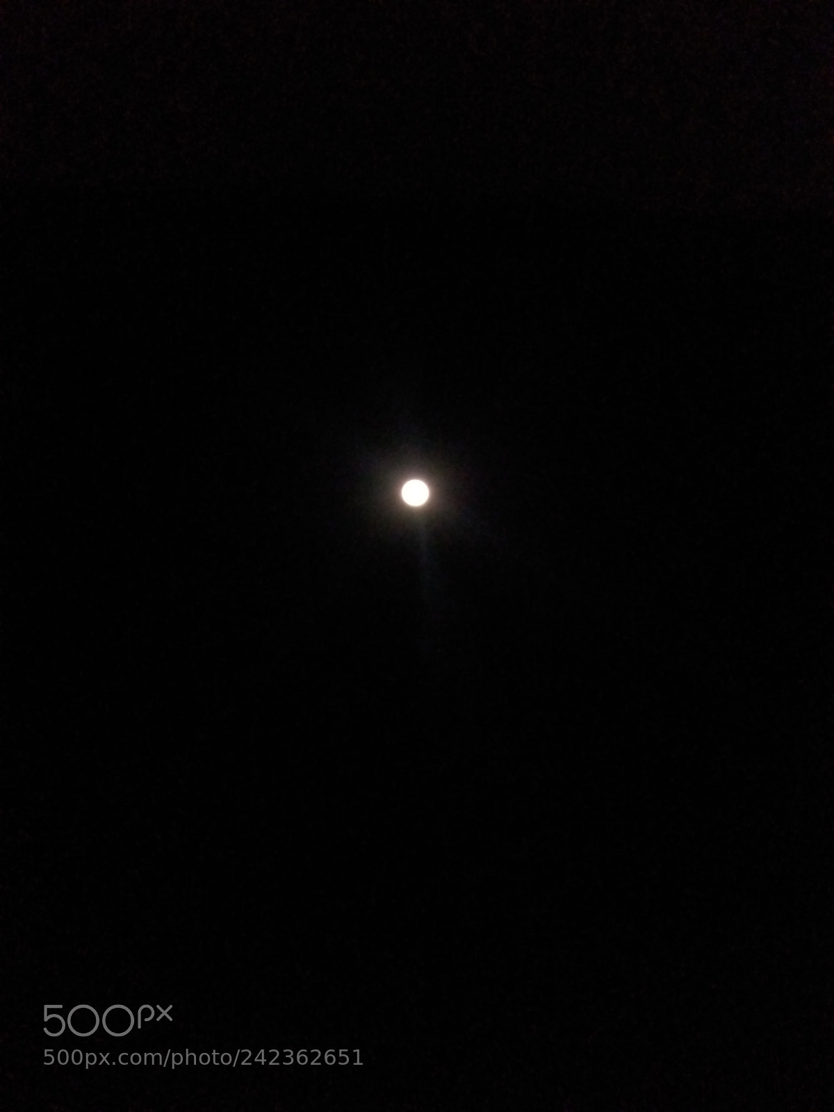 Motorola Moto G Play sample photo. Untitled photography