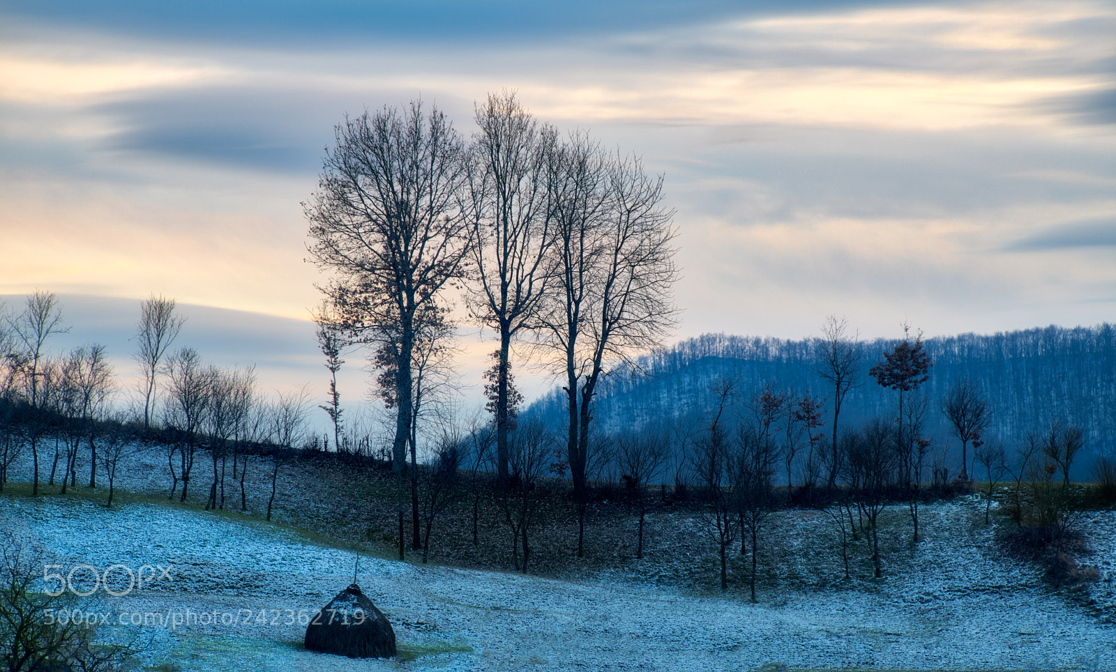 Nikon D850 sample photo. January evening photography