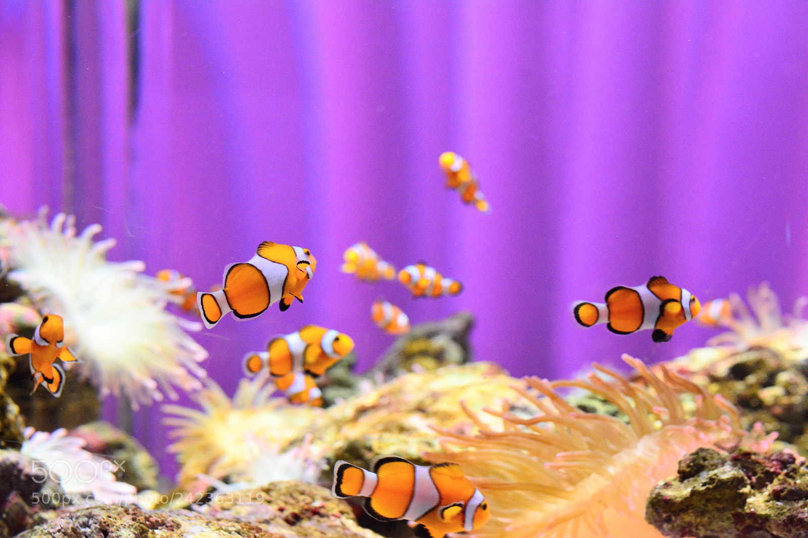 Nikon D7100 sample photo. Untitled photography