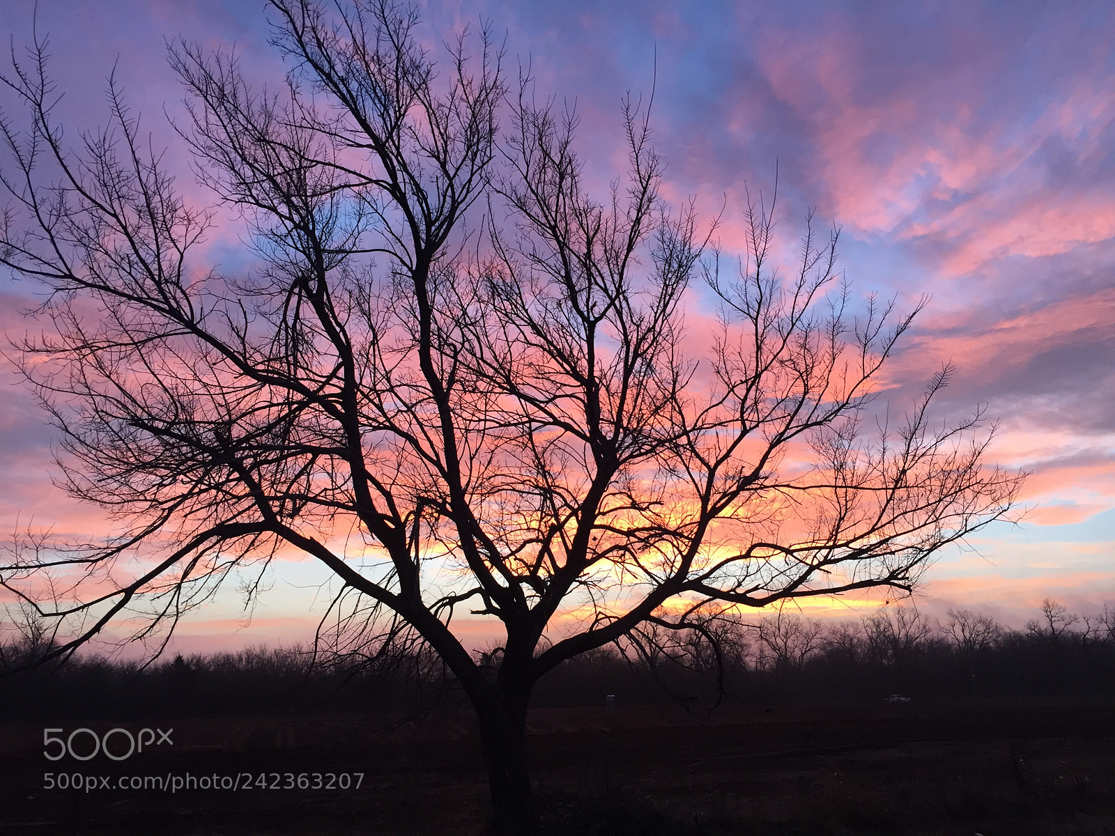 Apple iPhone 6 sample photo. Sunrise photography
