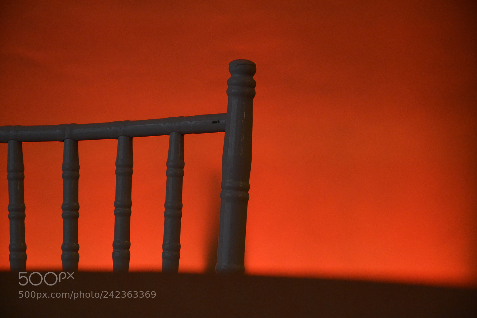 Nikon D3100 sample photo. Red contrast photography
