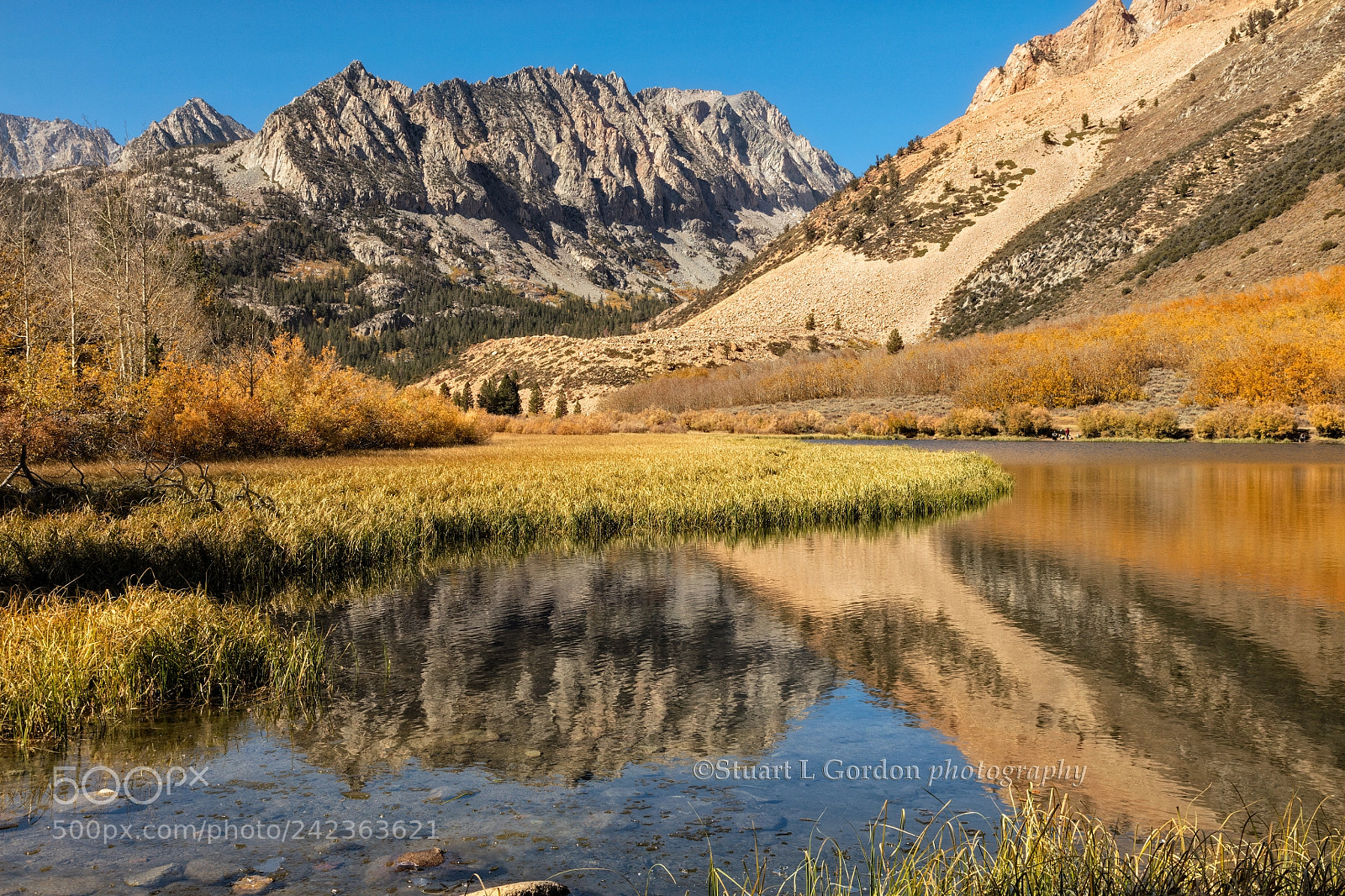 Canon EOS 5DS R sample photo. Autumn view at north photography