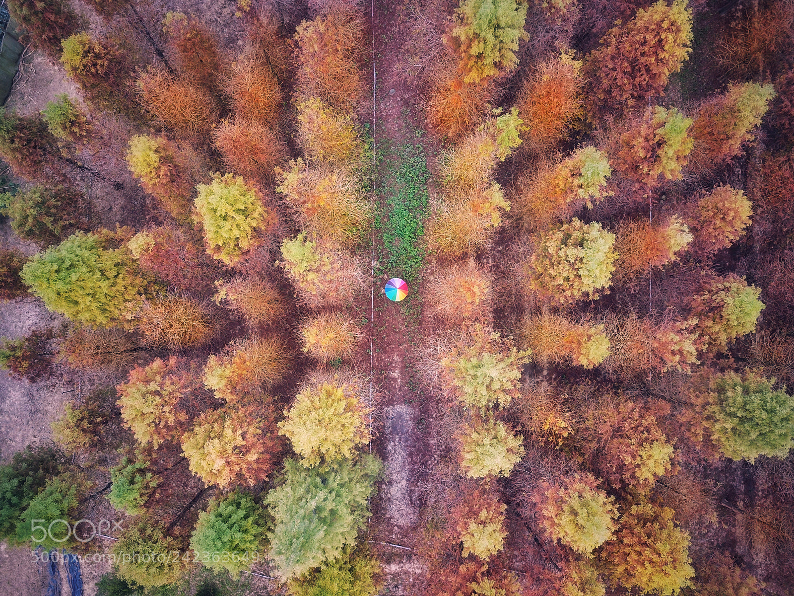 DJI FC220 sample photo. Untitled photography