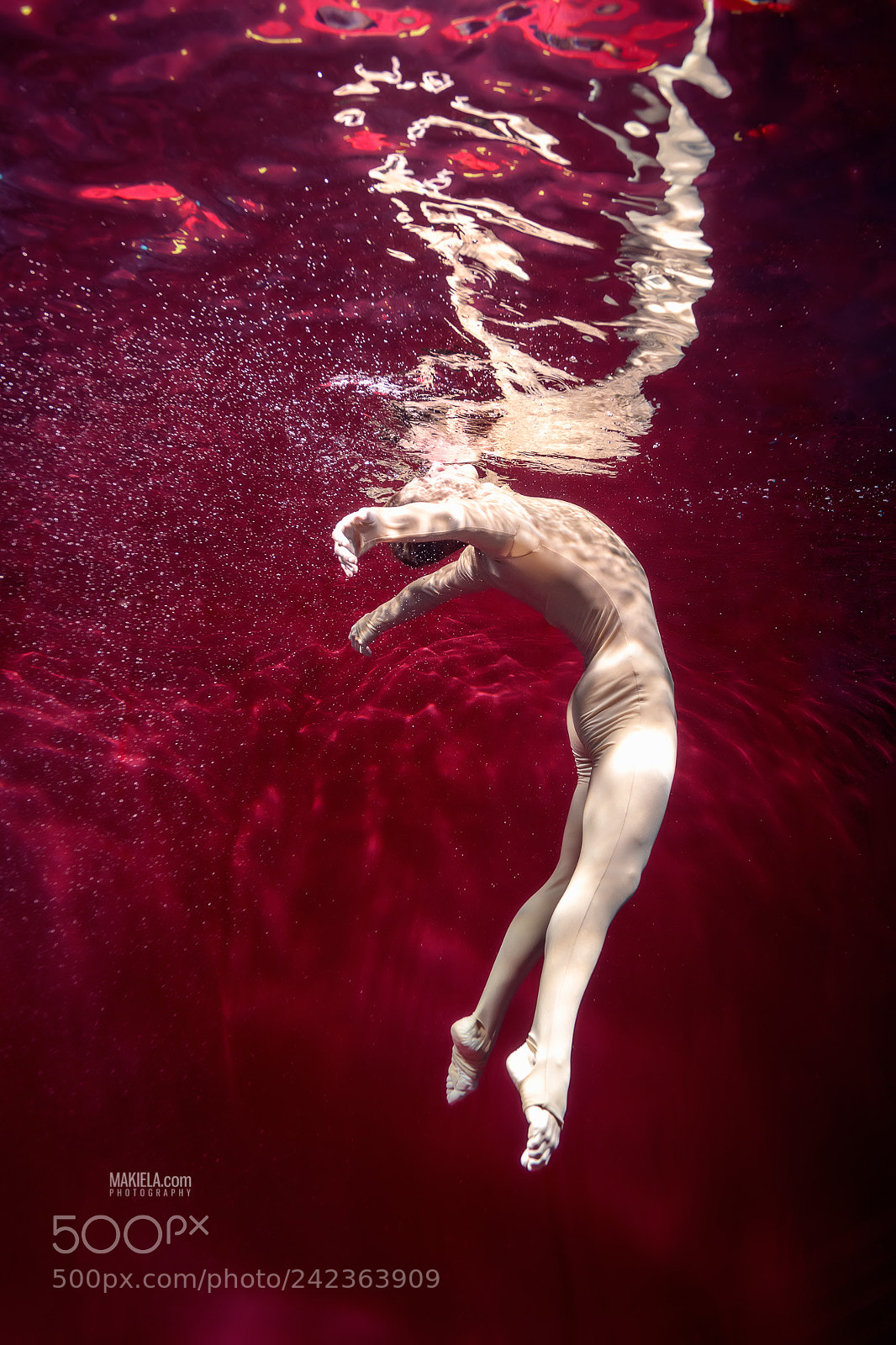 Canon EOS 5DS sample photo. Underwater dancer ii photography