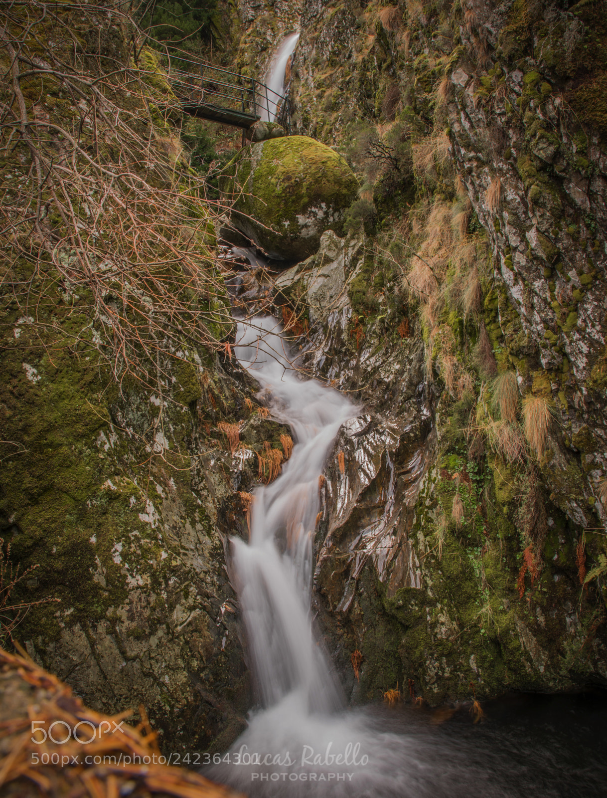 Nikon D810 sample photo. The great waterfall photography
