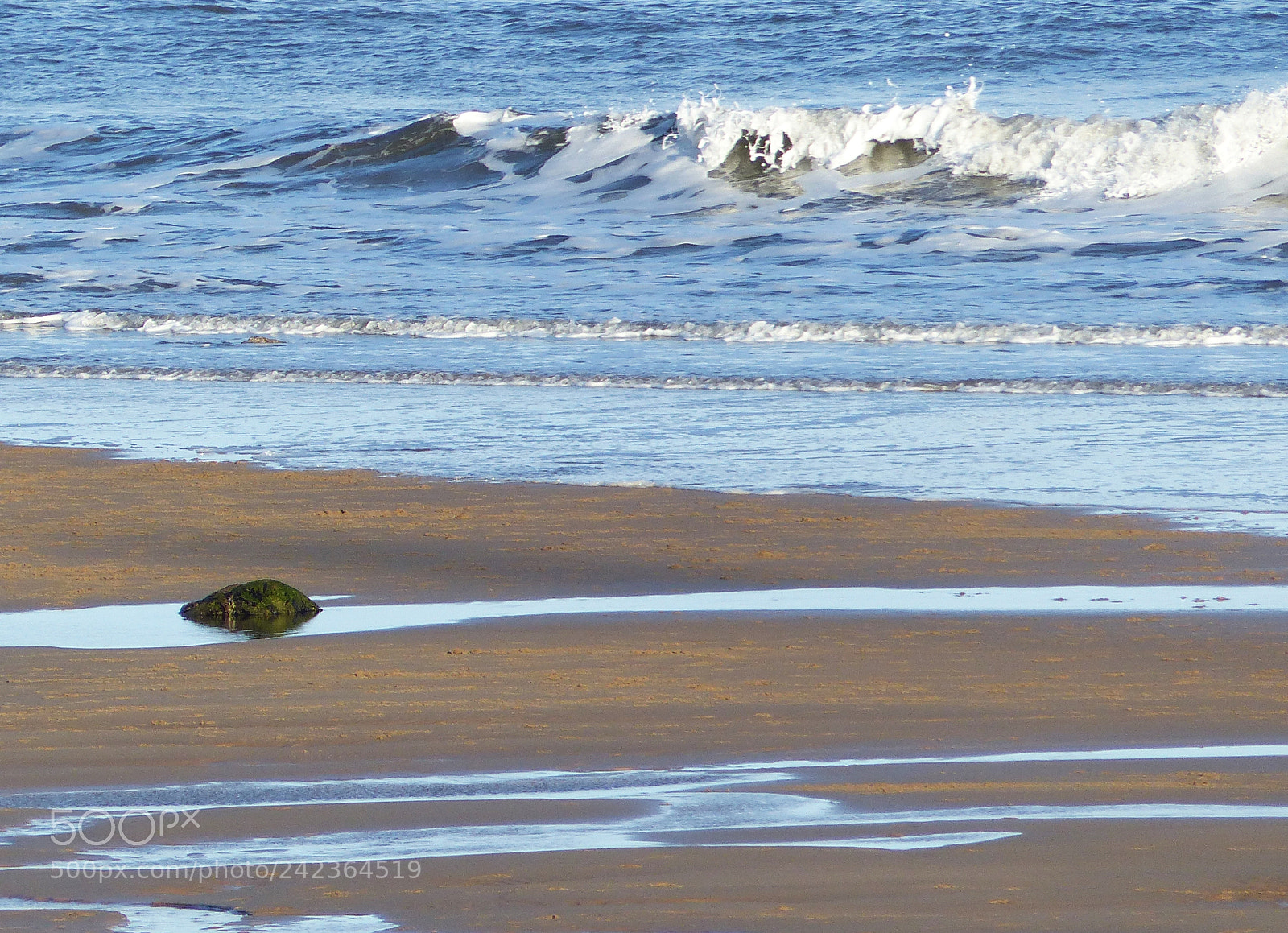 Panasonic Lumix DMC-FZ200 sample photo. Beach at tynemouth, january photography