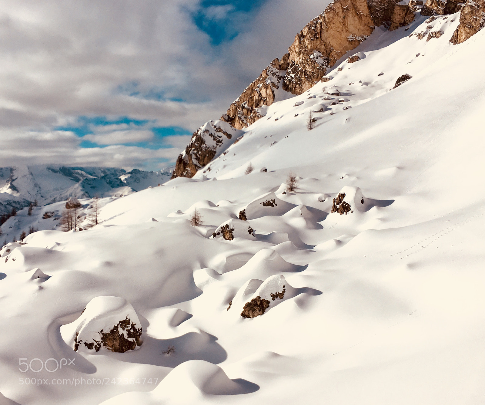 Apple iPhone 6s sample photo. Col gallina by my photography