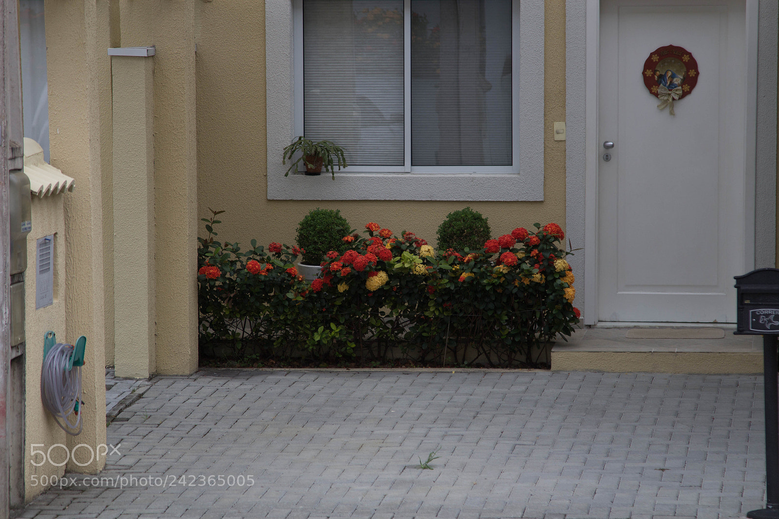 Canon EOS 1200D (EOS Rebel T5 / EOS Kiss X70 / EOS Hi) sample photo. Shoting pratice photography