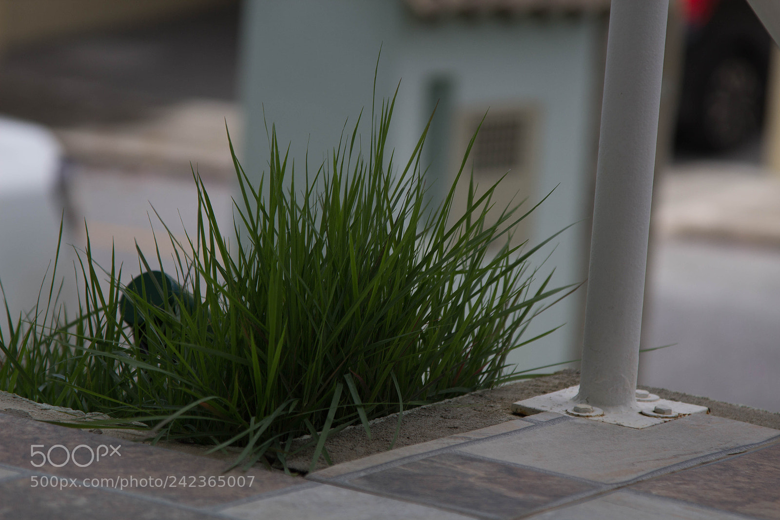 Canon EOS 1200D (EOS Rebel T5 / EOS Kiss X70 / EOS Hi) sample photo. Shoting pratice photography