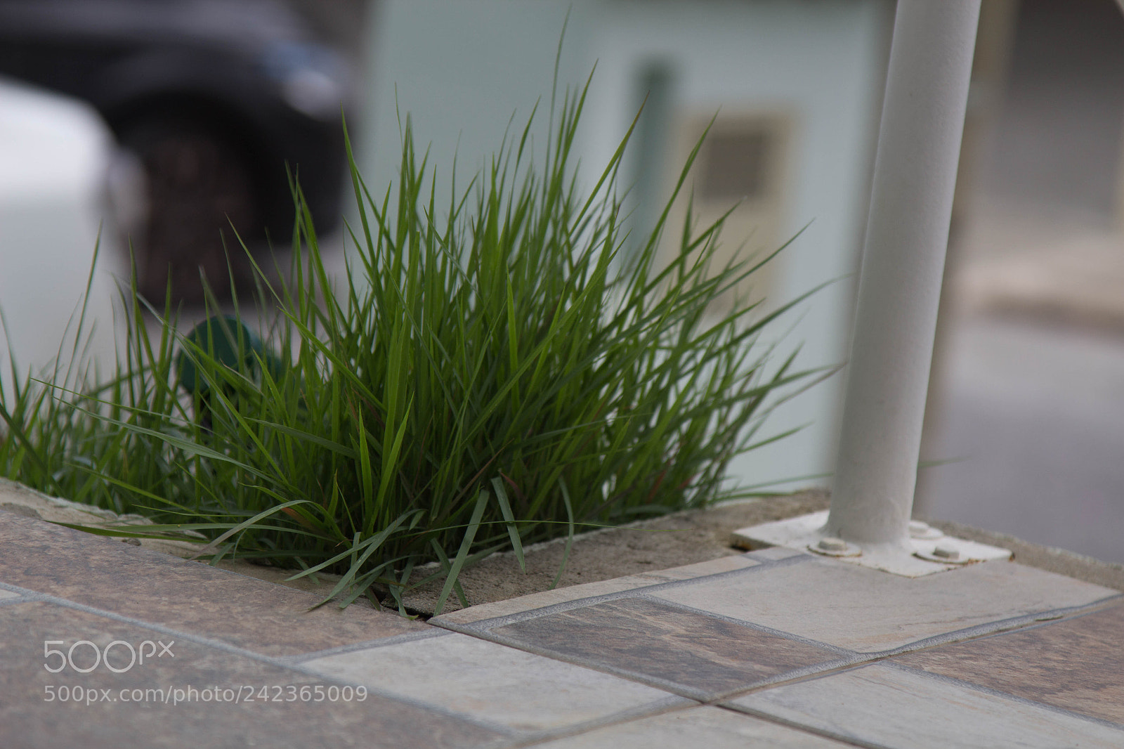 Canon EOS 1200D (EOS Rebel T5 / EOS Kiss X70 / EOS Hi) sample photo. Shoting pratice photography