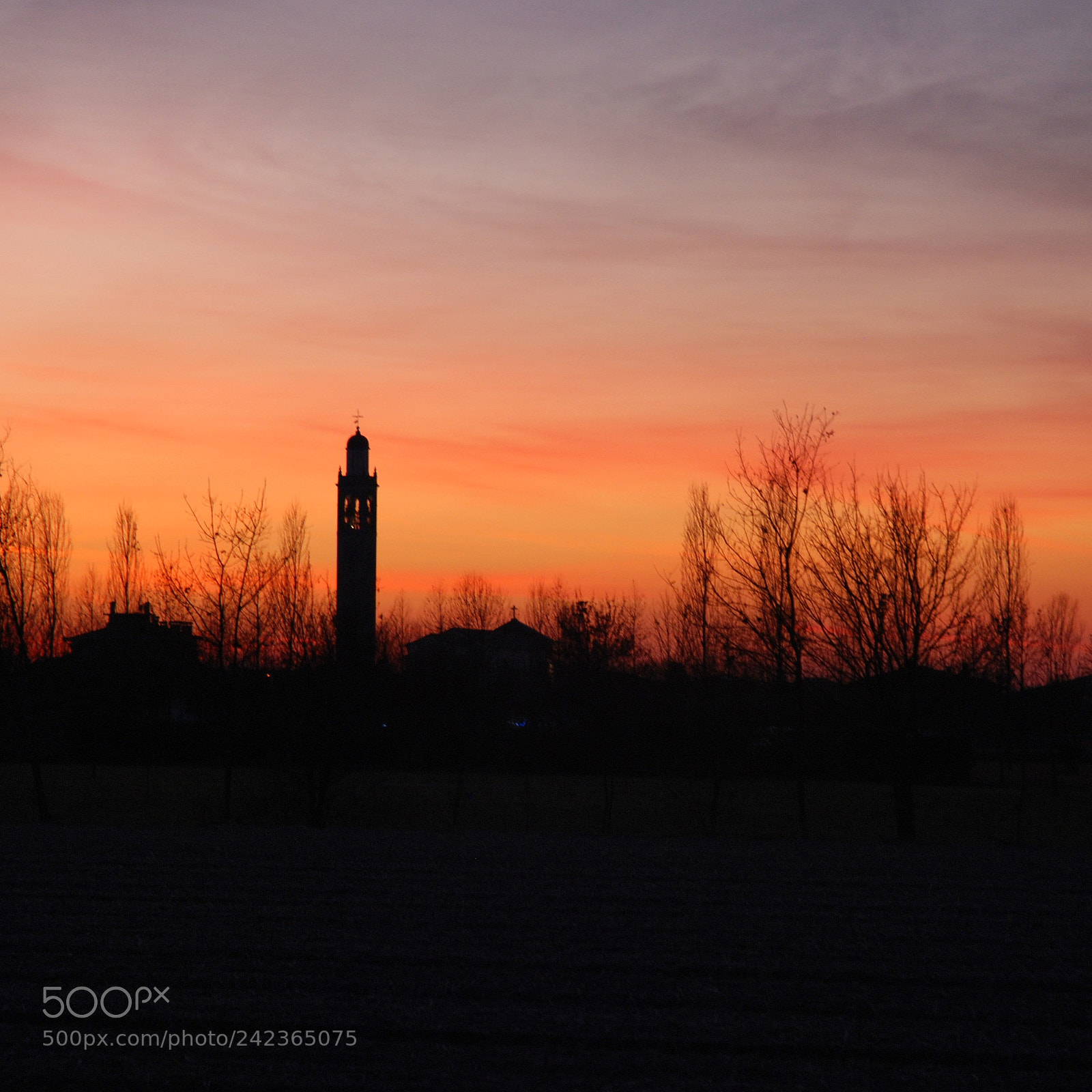 Nikon D80 sample photo. Orange sky photography
