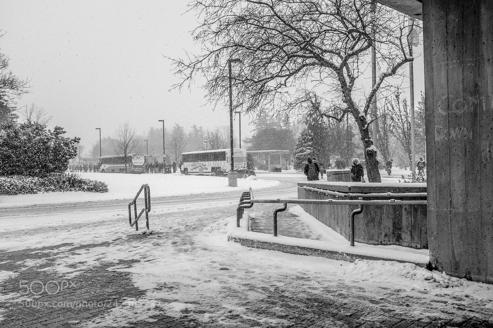Fujifilm X100F sample photo. Untitled shoot photography