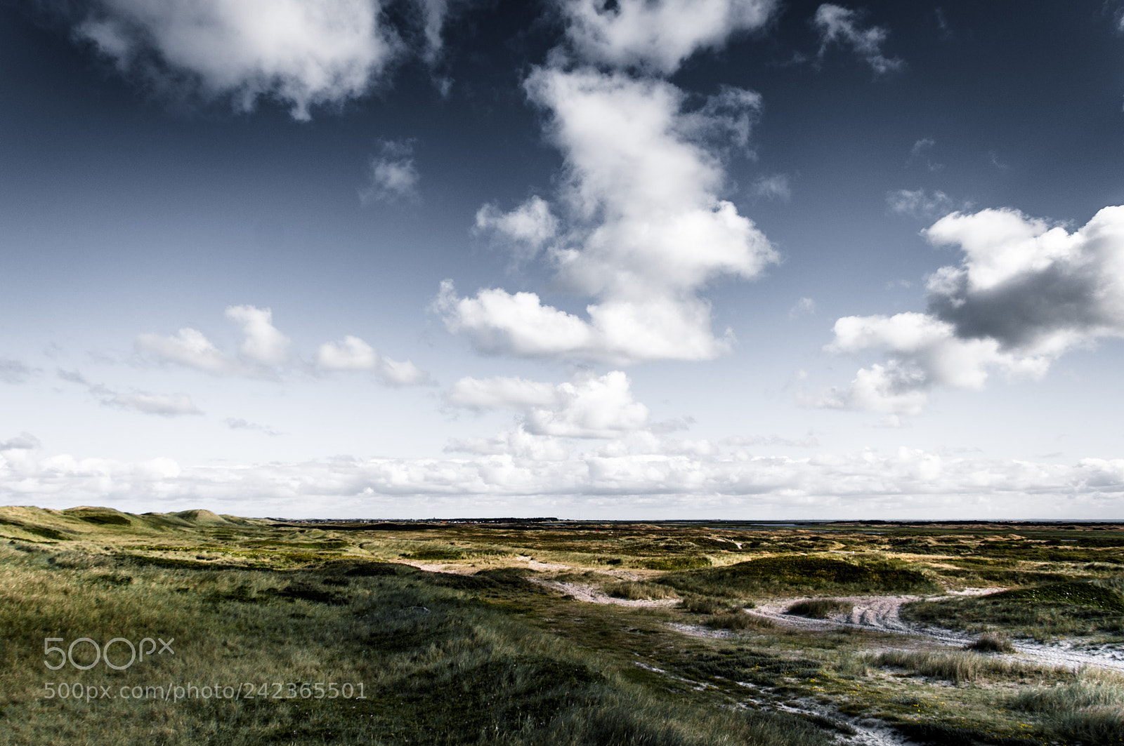 Nikon D90 sample photo. Cloudy sky photography