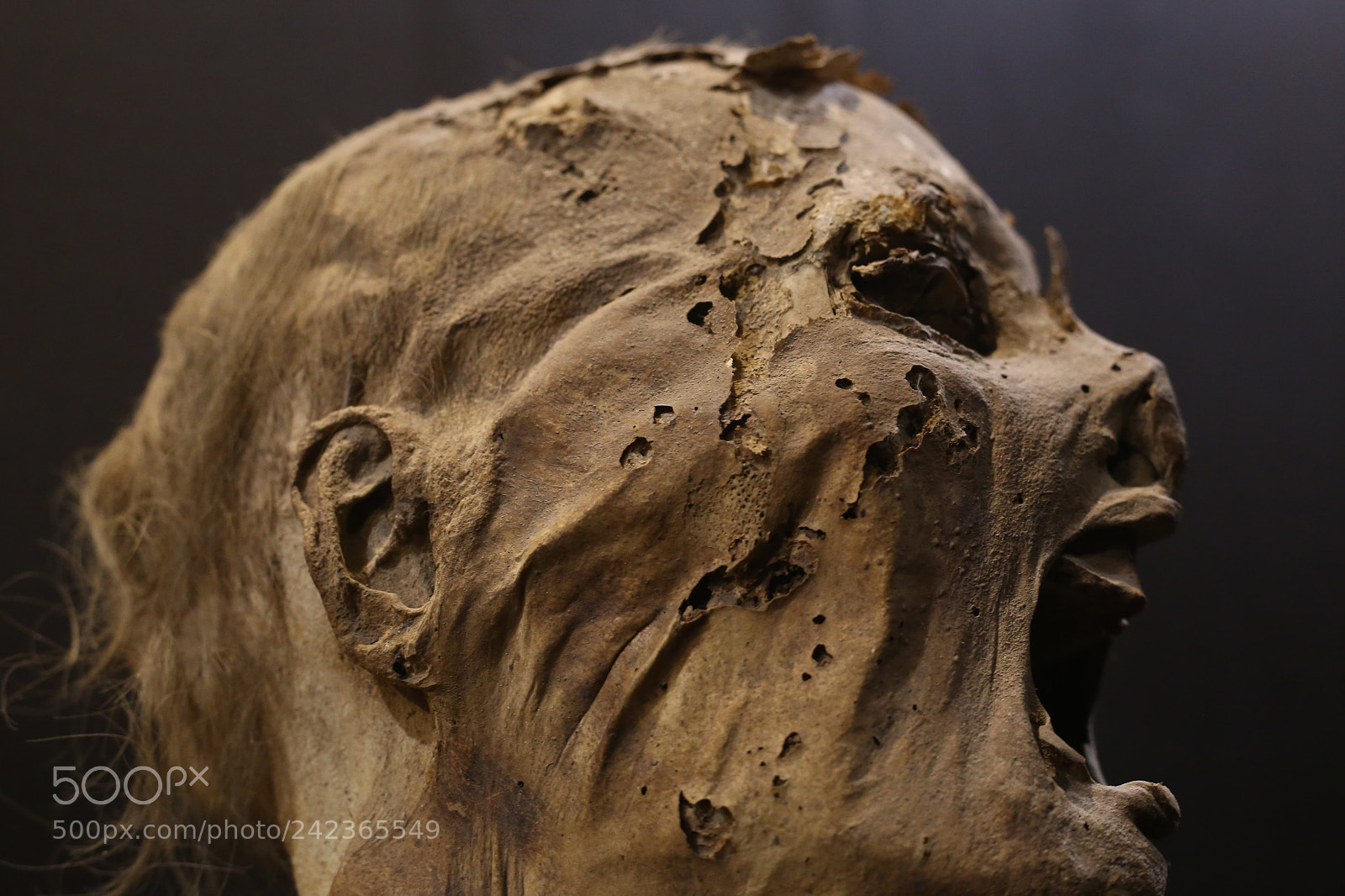 Canon EOS 6D + Canon EF 50mm F1.8 STM sample photo. Mummy photography