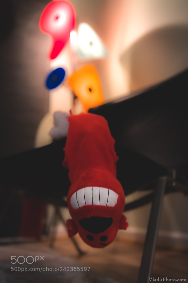 Nikon D850 sample photo. 10/365 photography
