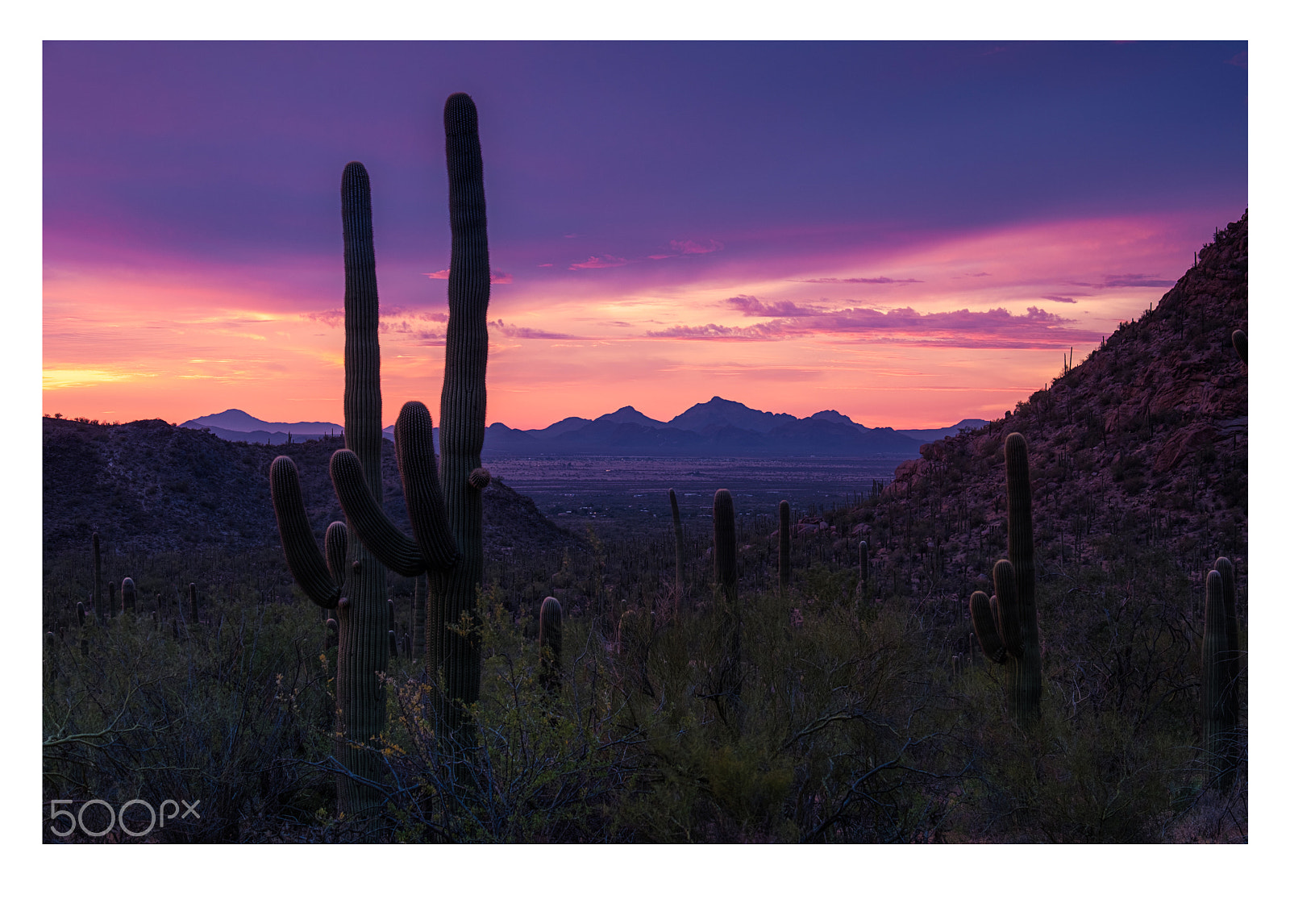 Fujifilm X-T2 sample photo. Saguaro national park photography