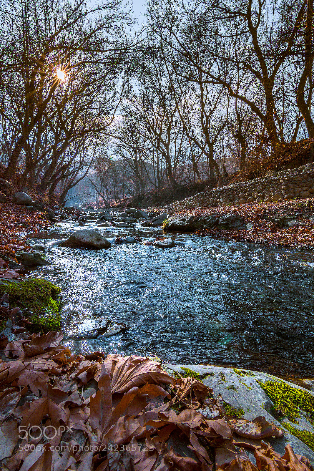 Nikon D7200 sample photo. Untitled photography
