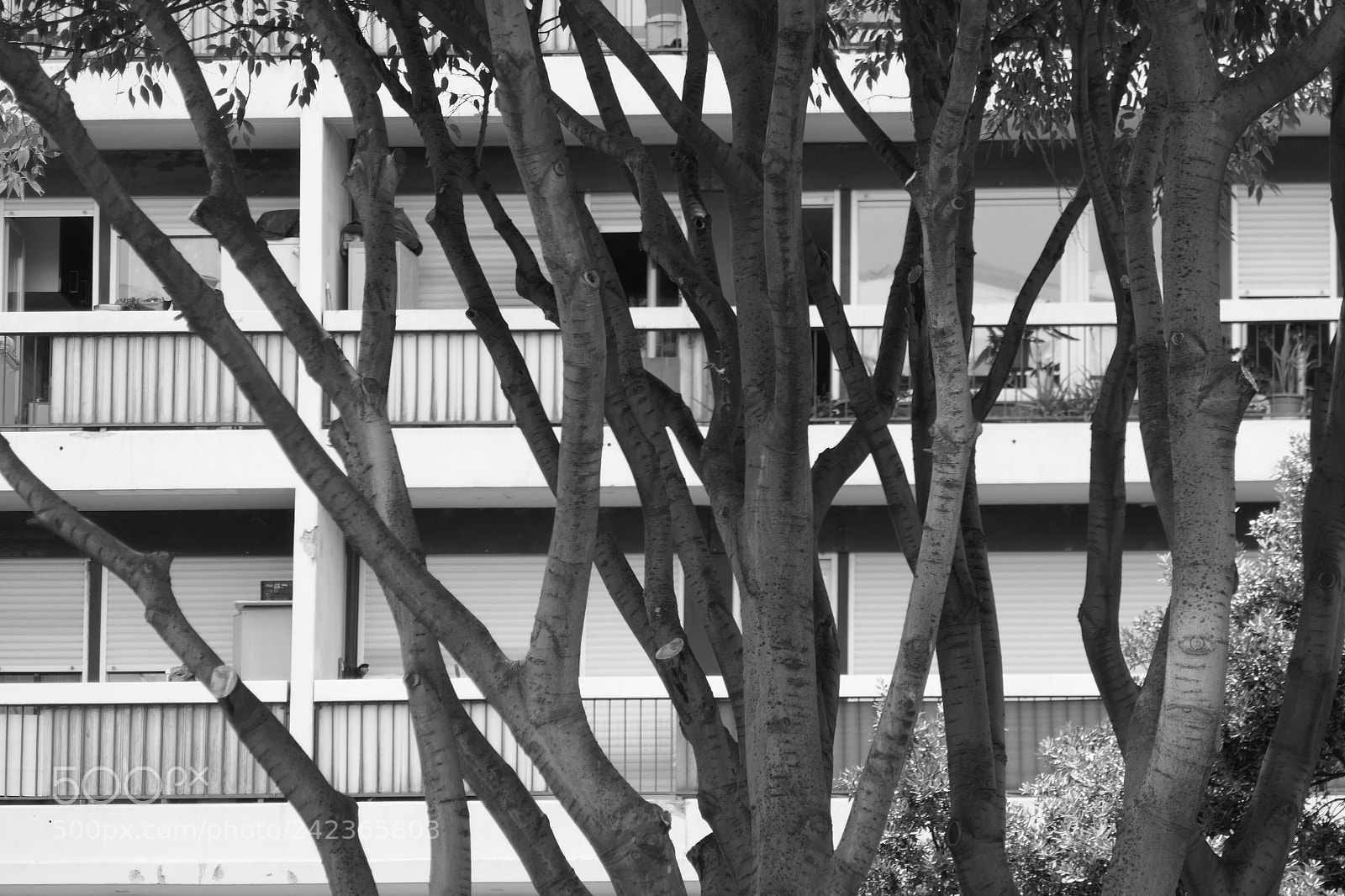 Panasonic Lumix DMC-ZS100 (Lumix DMC-TZ100) sample photo. Untitled photography