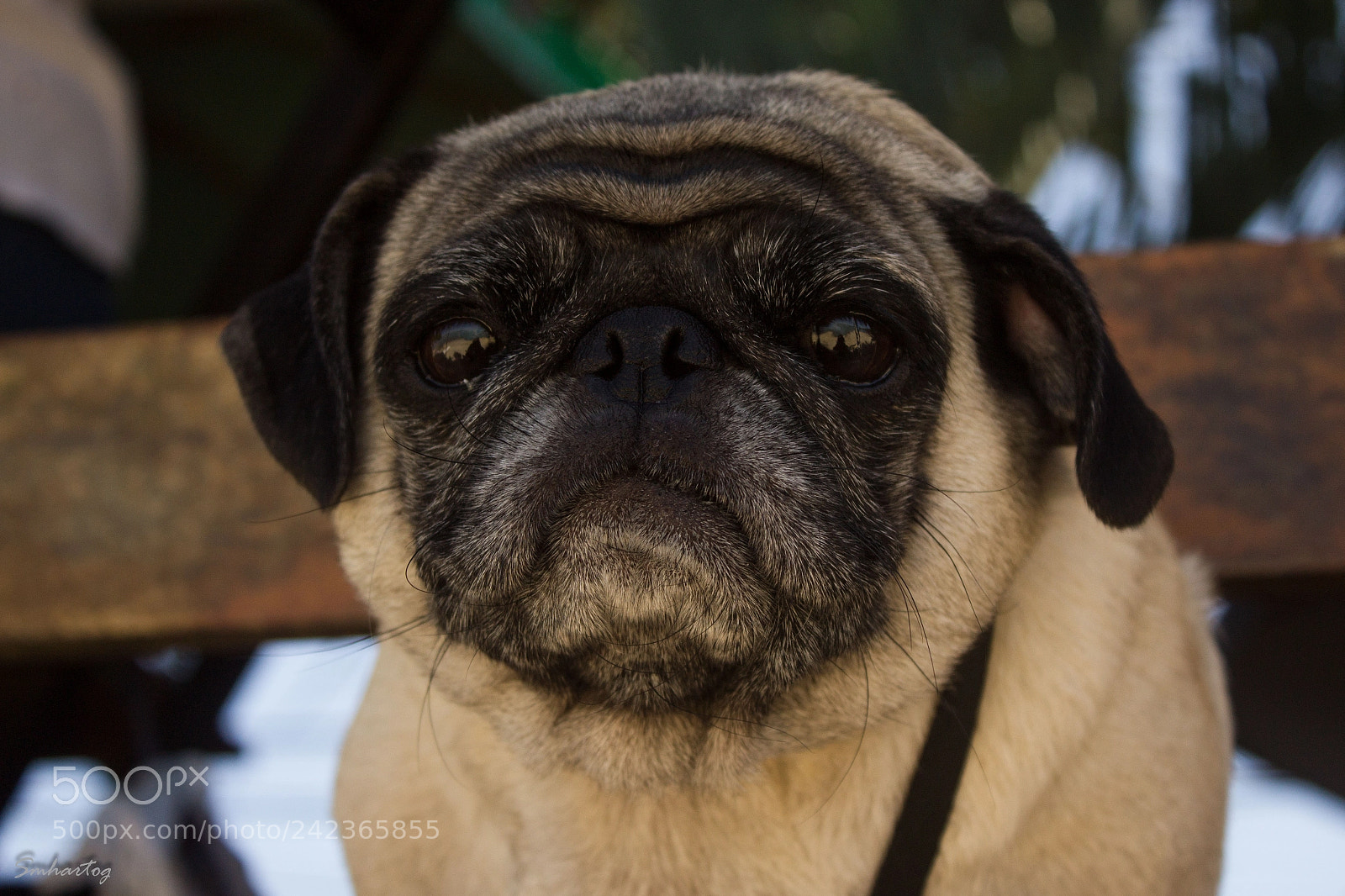Canon EOS 1200D (EOS Rebel T5 / EOS Kiss X70 / EOS Hi) sample photo. Curiosa photography