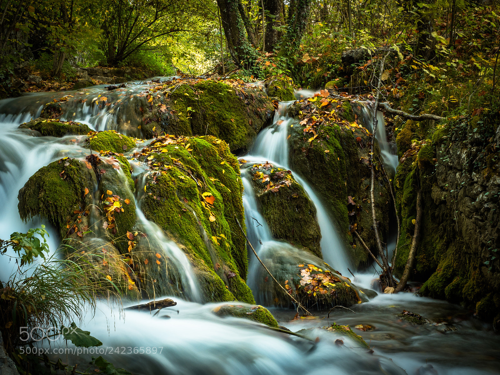 Olympus OM-D E-M1 Mark II sample photo. Autumn falls photography