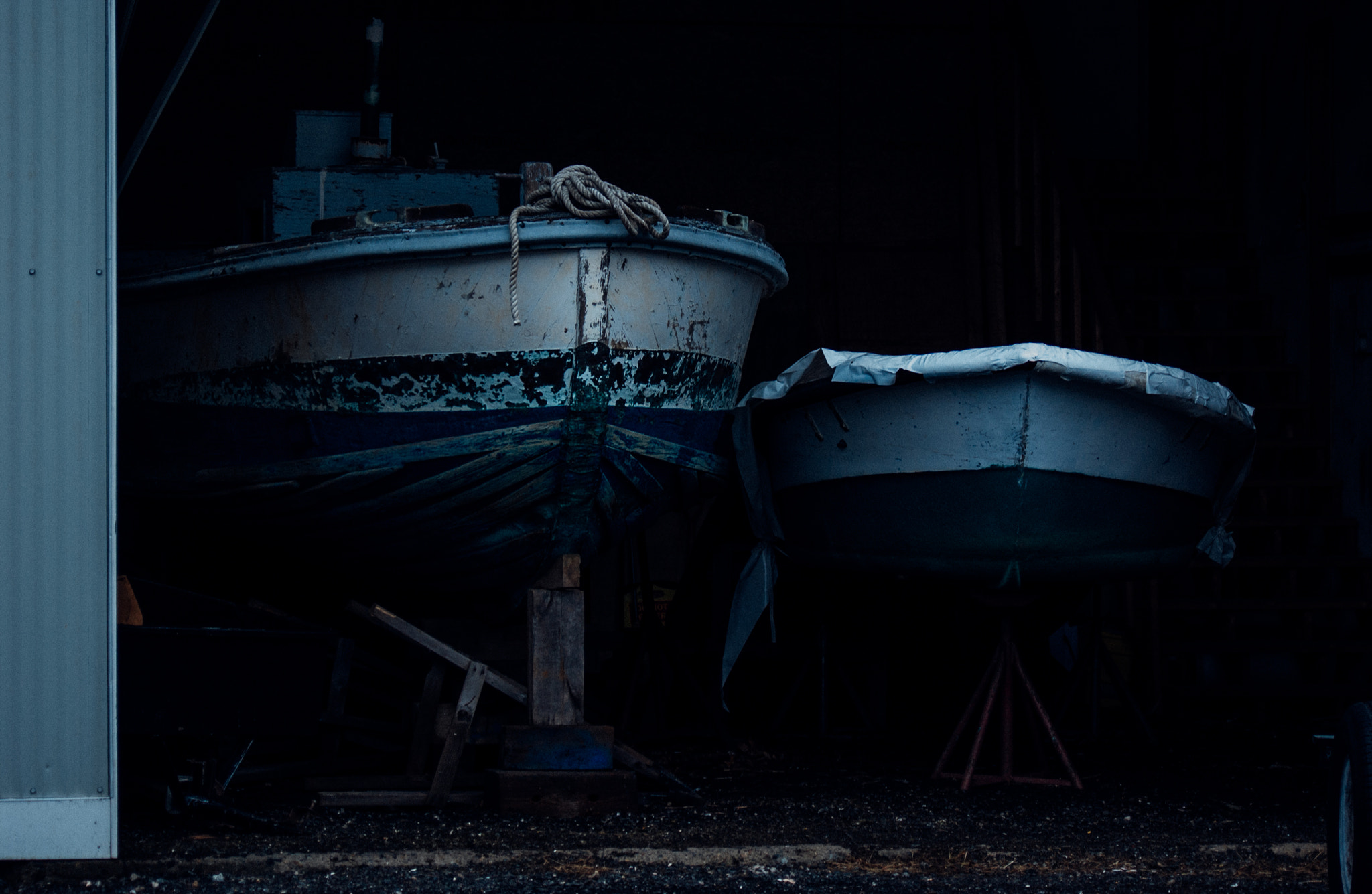 Nikon D1X sample photo. Kinda blue photography