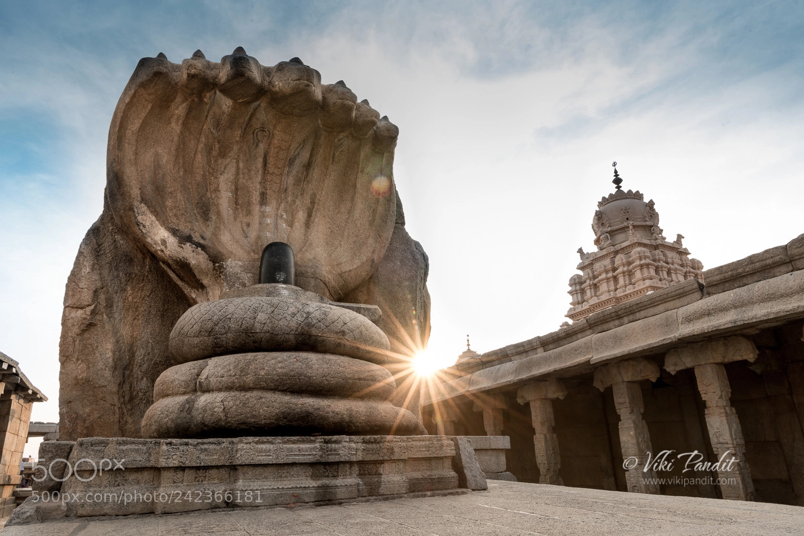 Nikon D810 sample photo. The seven headed serpent photography