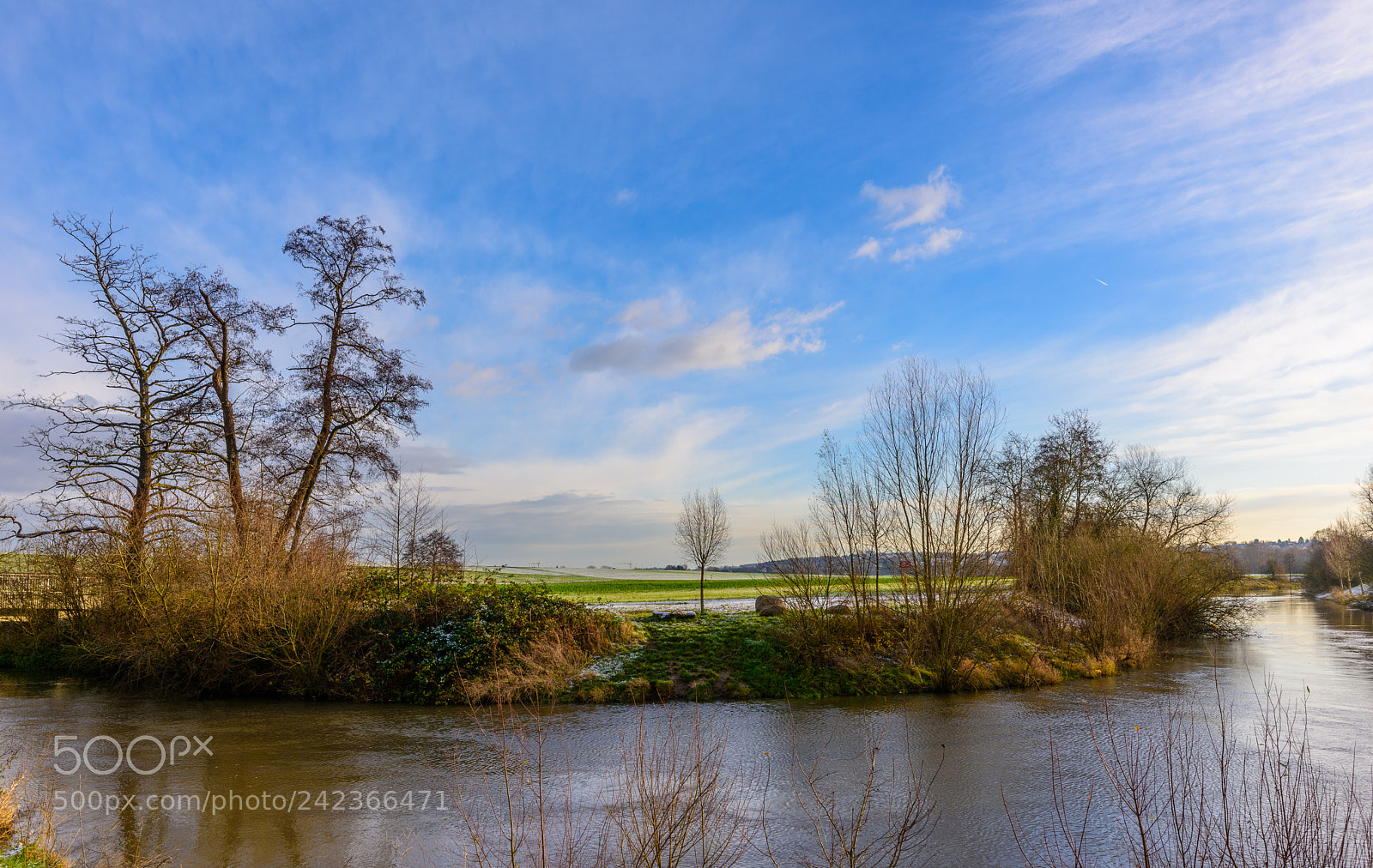 Nikon D810 sample photo. Late autumn impression photography