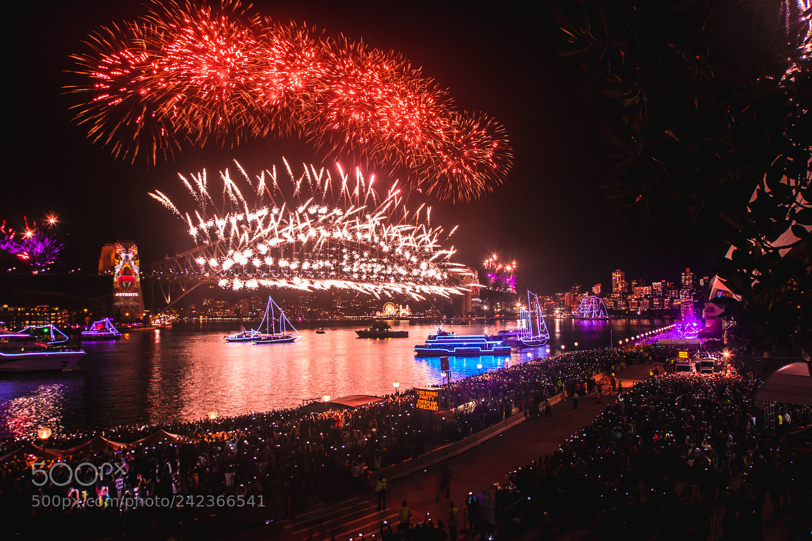 Sony a7 II sample photo. Sydney on fire photography