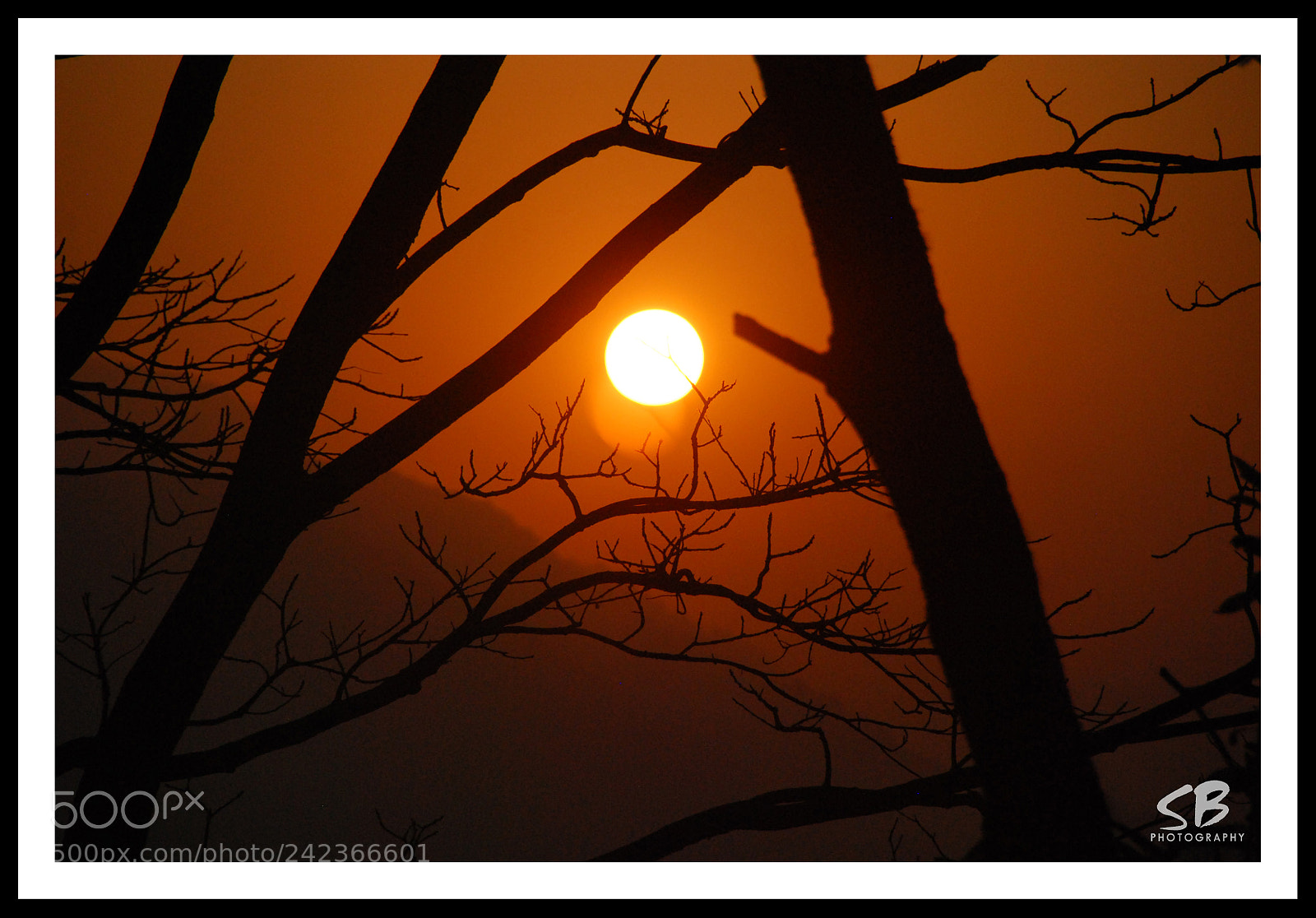 Nikon D60 sample photo. Sunset at barapani lake photography