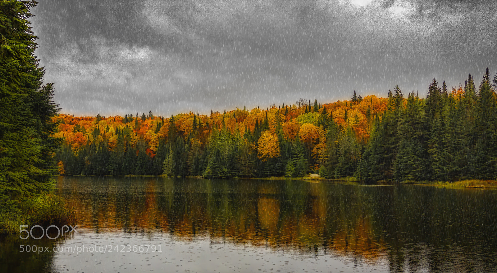 Samsung Galaxy Note5 sample photo. Autumn rain lake photography