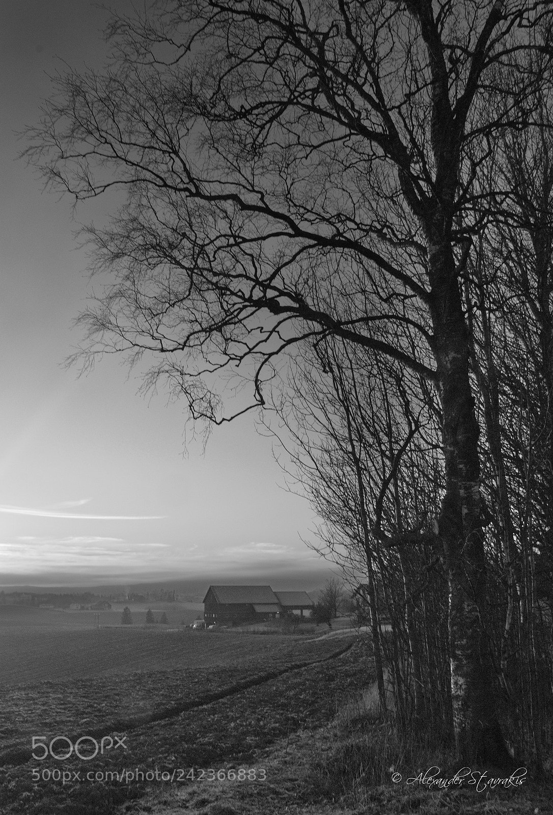 Nikon D3100 sample photo. Untitled photography