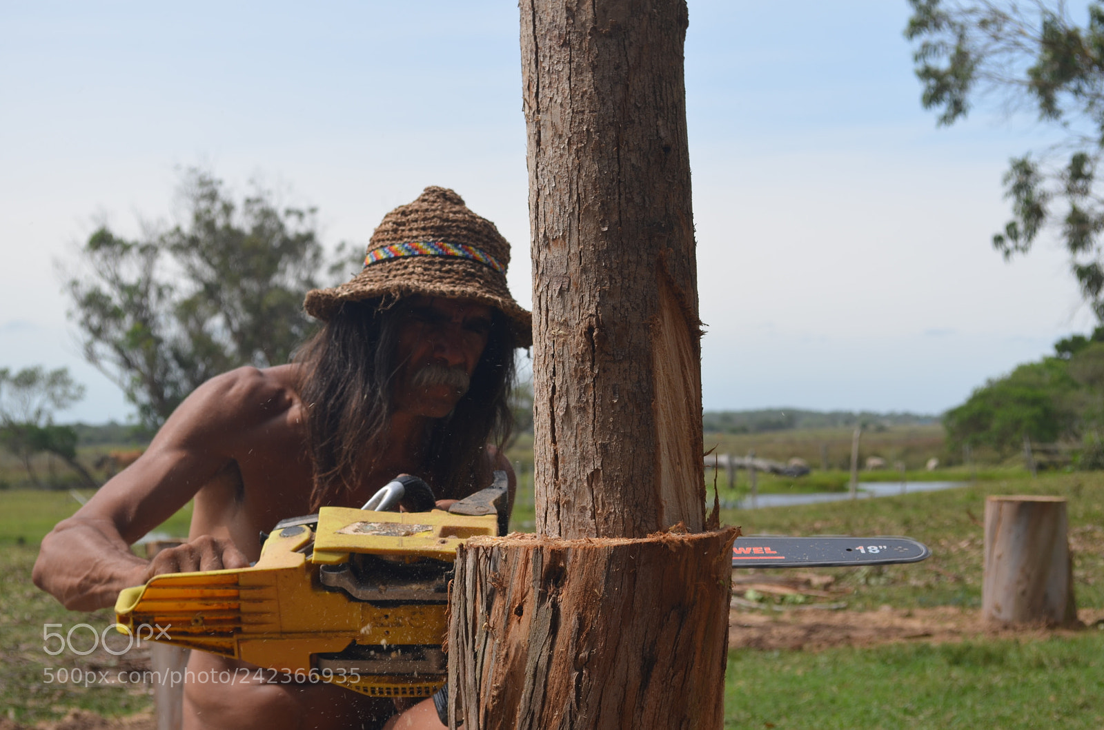 Nikon D5100 sample photo. Uy () photography