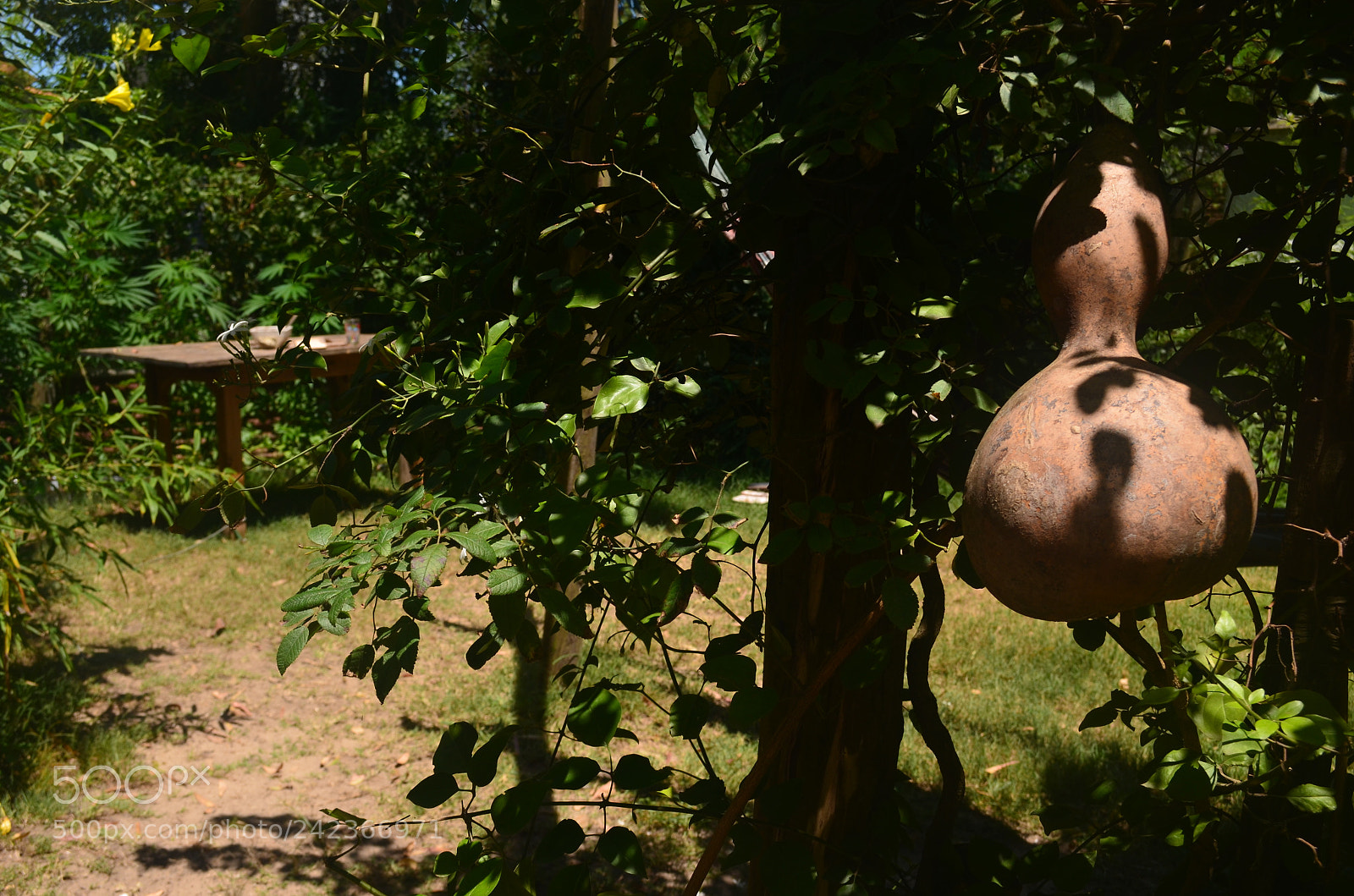Nikon D5100 sample photo. Uy () photography
