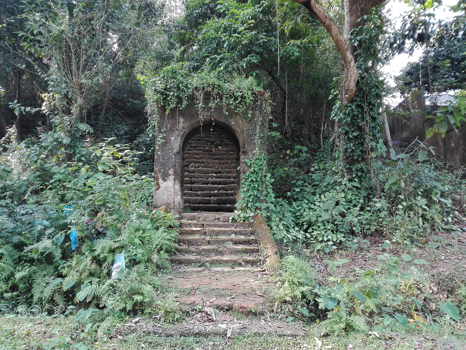 HUAWEI Y6II sample photo. Sree sree chaitaynnya house photography