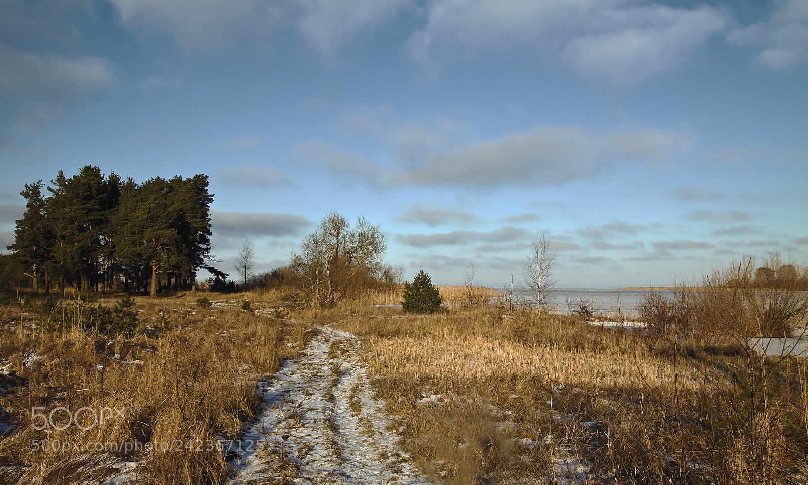 Canon EOS 50D sample photo. Img photography