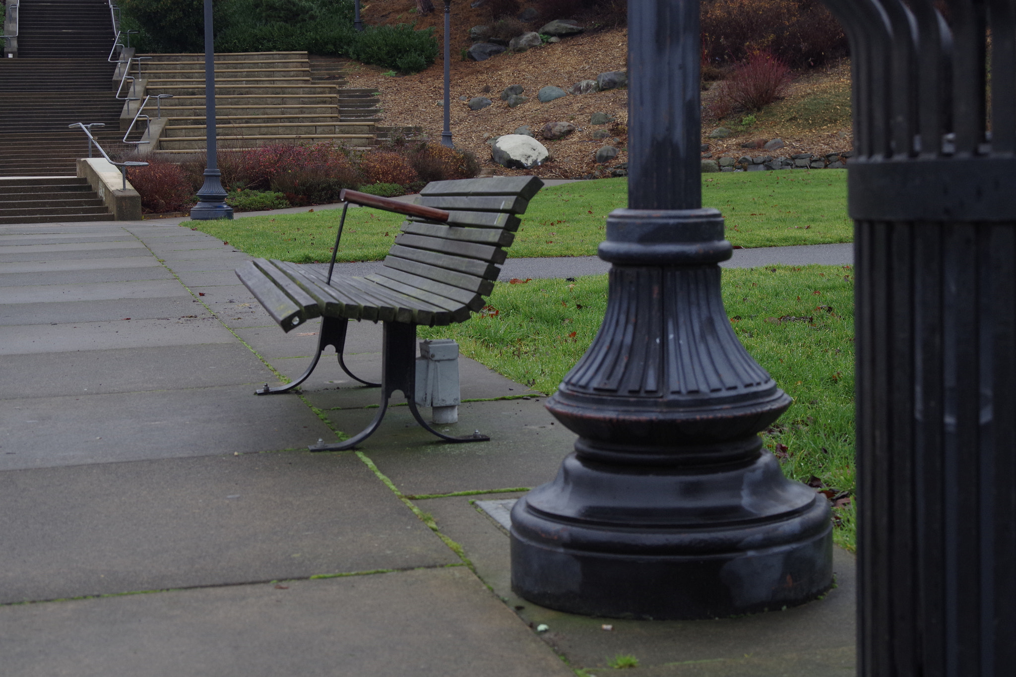 Pentax K-S2 sample photo. Bench photography
