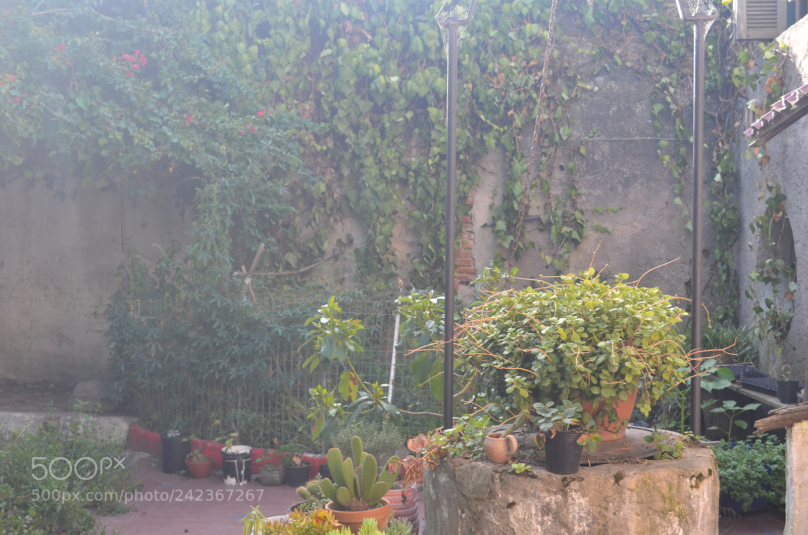 Nikon D5100 sample photo. Uy () photography