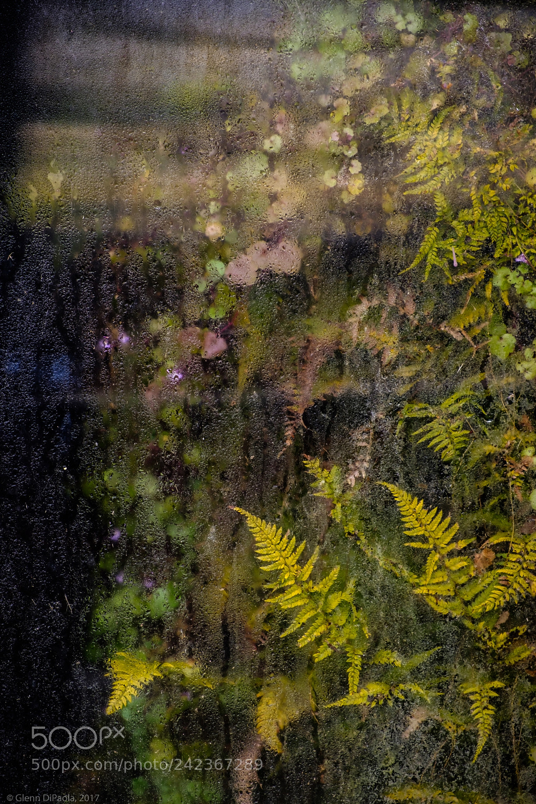 Fujifilm X-E3 sample photo. House guest photography