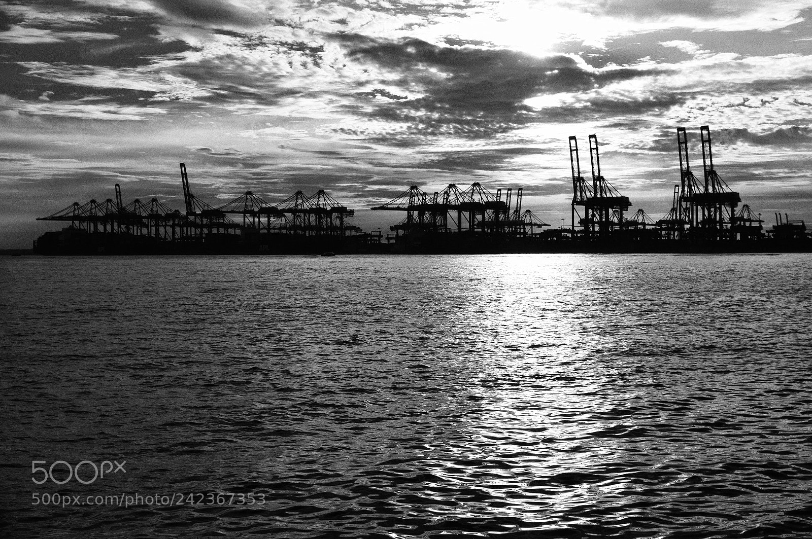 Fujifilm FinePix X100 sample photo. Untitled photography
