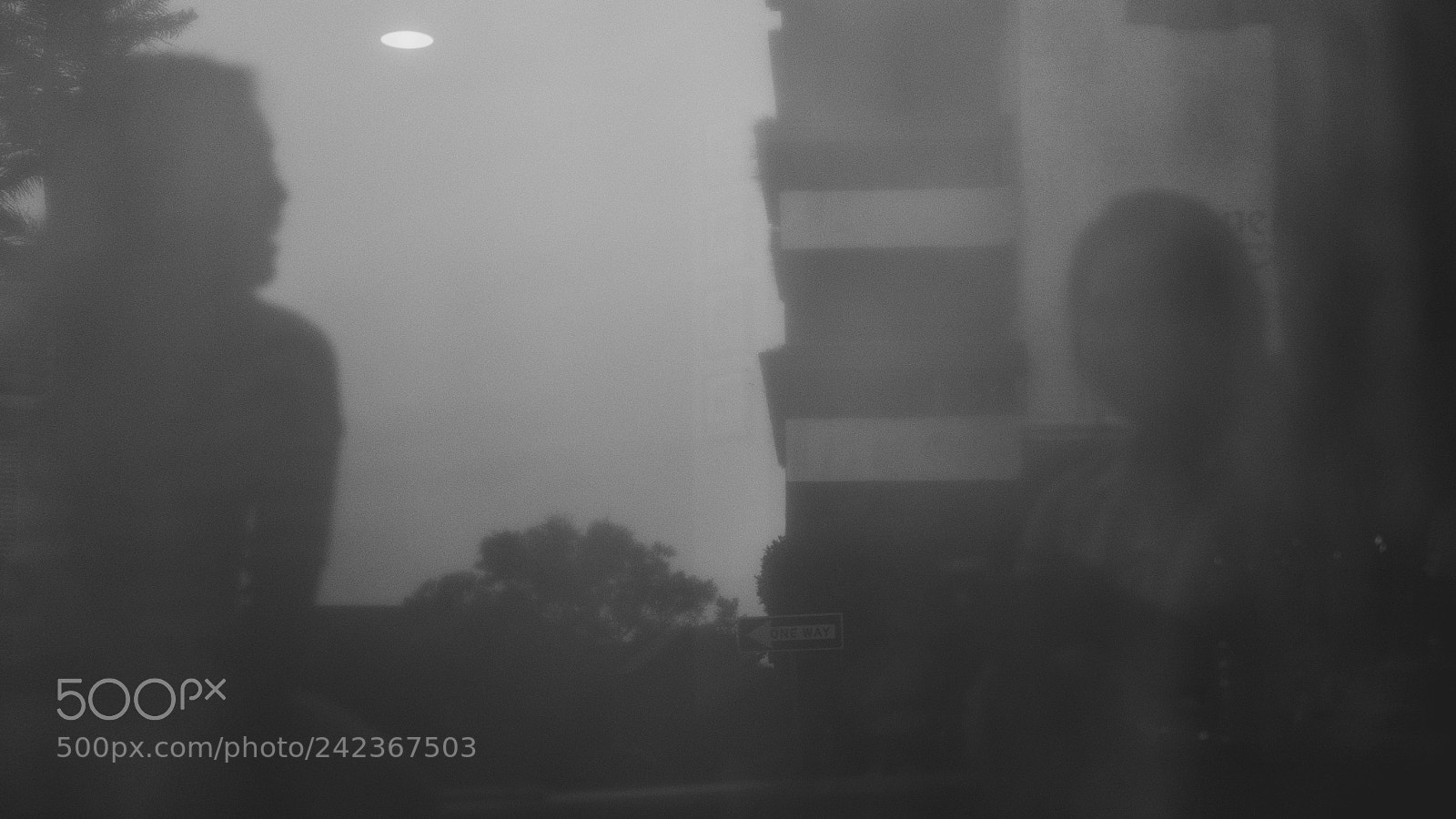 Fujifilm X-E2S sample photo. Untitled photography