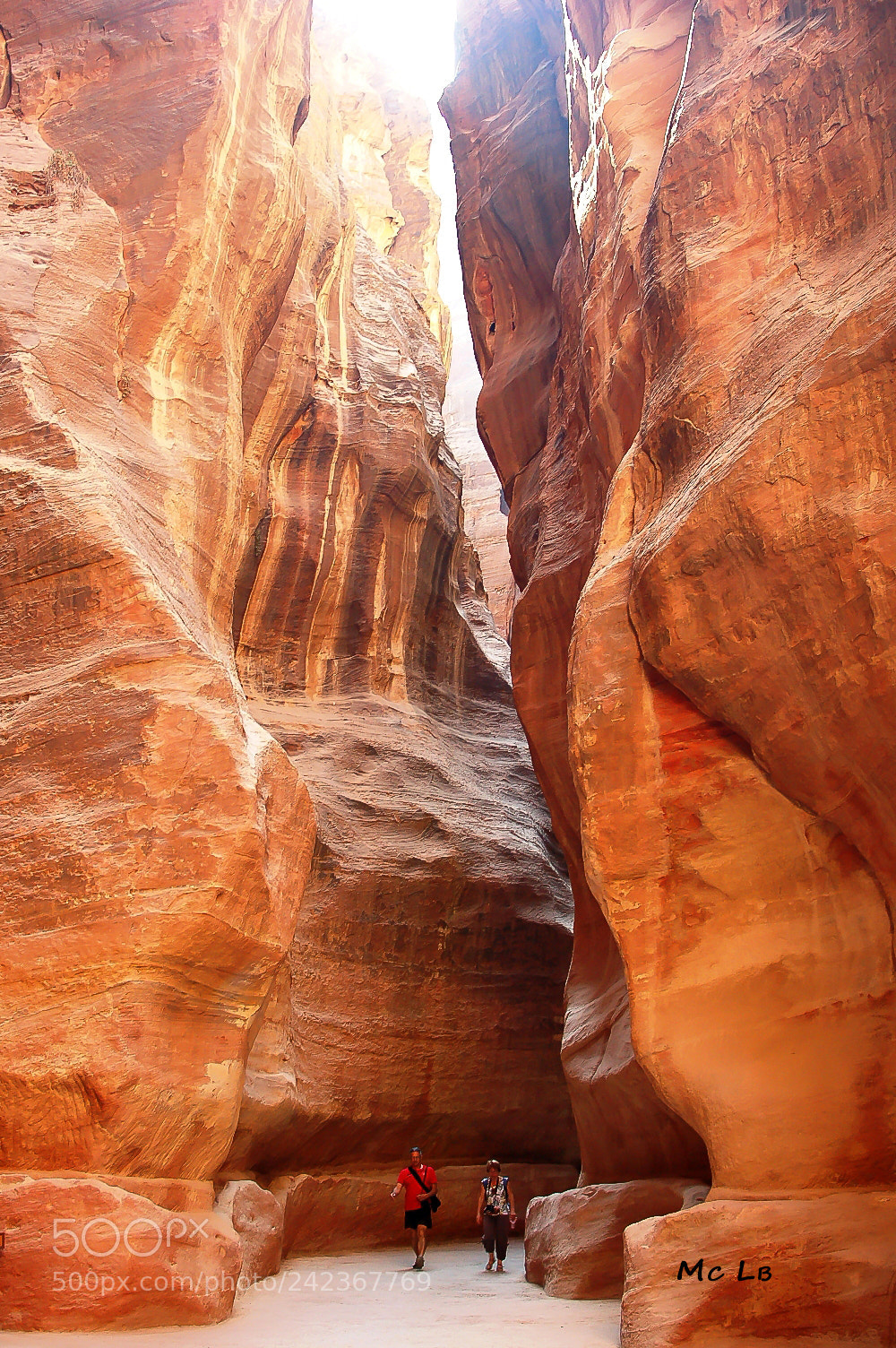 Nikon D50 sample photo. Canyon de petra- jordanie photography