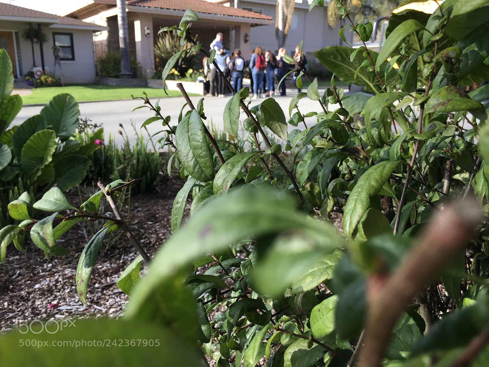 Apple iPad Pro sample photo. Untitled photography