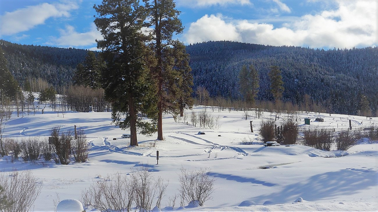 Sony E 16-50mm F3.5-5.6 PZ OSS sample photo. Winter photography