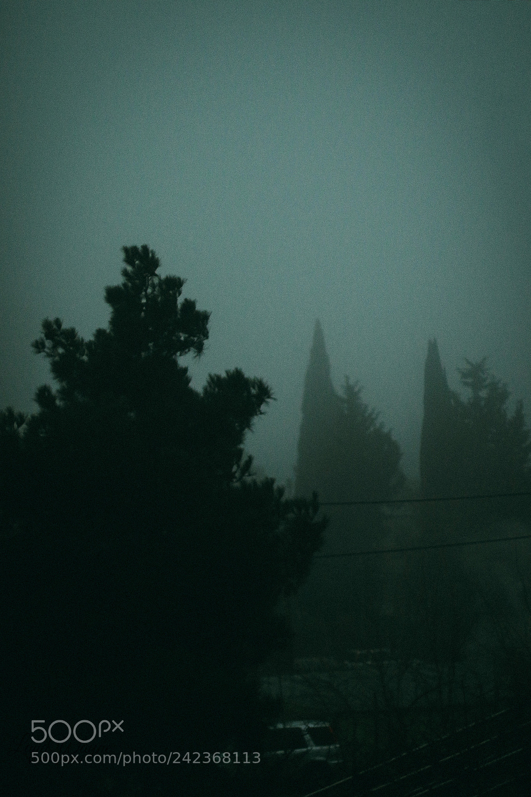 Canon EOS 7D Mark II sample photo. Fog photography