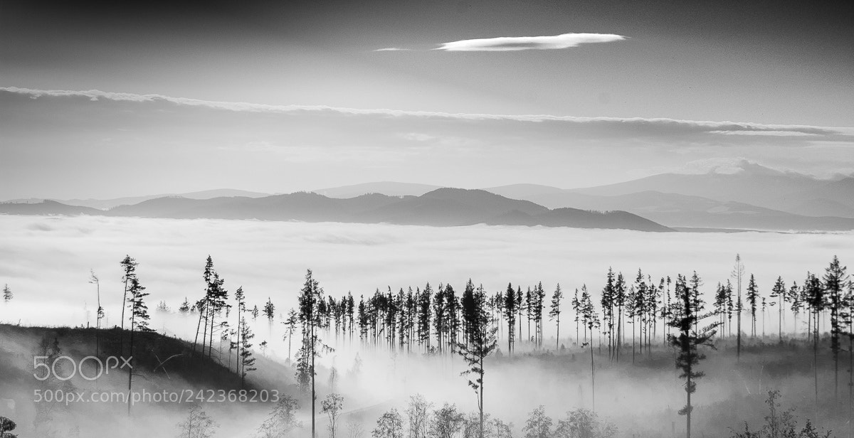 Nikon D70 sample photo. View from the tatra photography