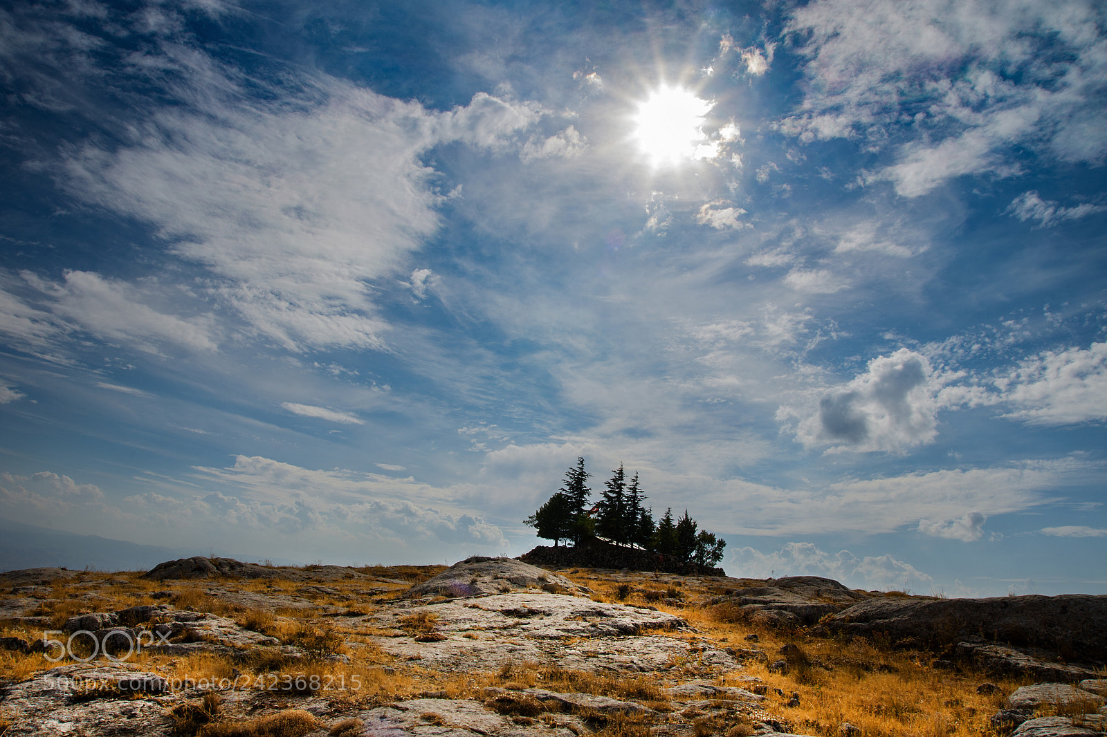 Nikon D7200 sample photo. House on the hill photography