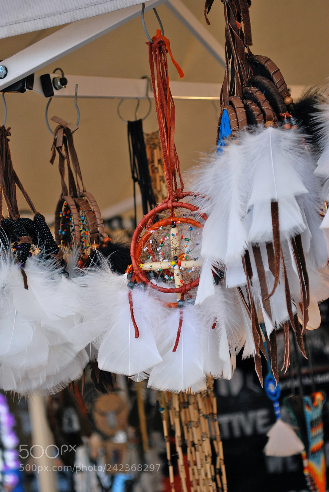 Nikon D60 sample photo. Dreamcatcher photography