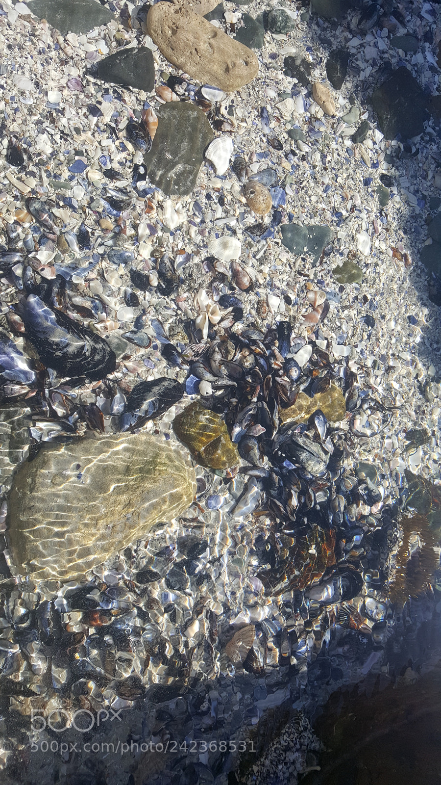 Samsung Galaxy S6 sample photo. Beach life sunny photography